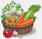 食事療法・旬の野菜